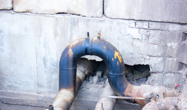Best Basement water damage restoration  in Union Hill Novelty Hill, WA