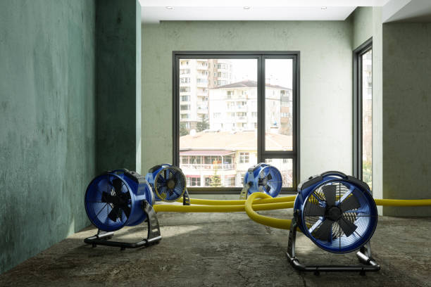 Best Sewage cleanup and water damage restoration  in Union Hill Novelty Hill, WA